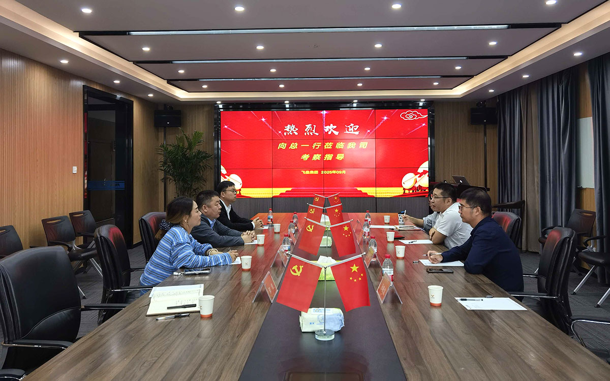 北新龙牌集团常务副总经理向卫锋赴飞皇集团总部参观交流，促进行业高质量发展
